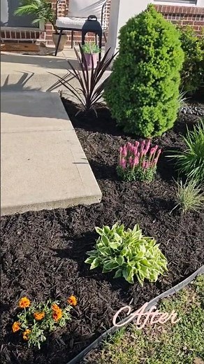 DIY Front Yard Landscaping Transformation #DIY #frontyard #hometransformation #diyhome