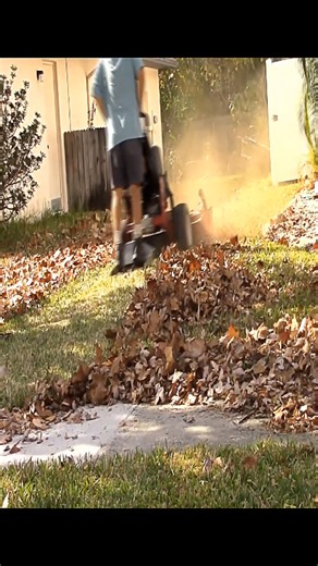 This is my Snapper hydro walk behind at about an 8x timelapse mowing and mulching up fall leaves. #satisfying #asmr #mowing #lawncare #lawn | Something 2LookAt