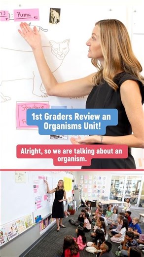Quick Oral Review with a Pictorial Input Chart