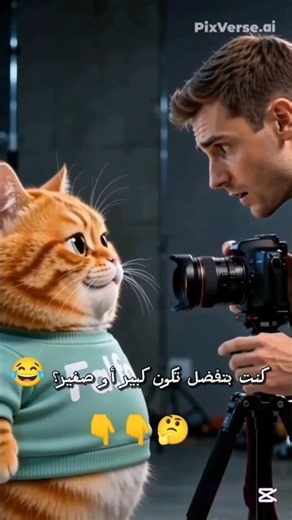 فلفول راح يتصور والكاميرا غيّرت حجمه 😂🐱📷