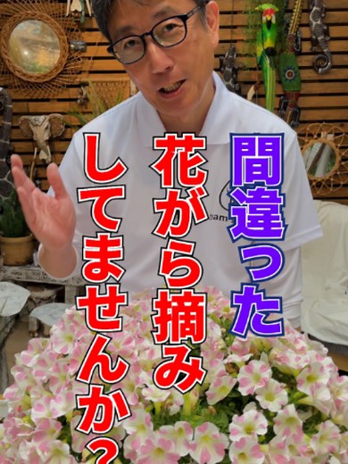 花がら摘みの正しいやり方｜楽（がく）ごと摘んで花を増やす方法