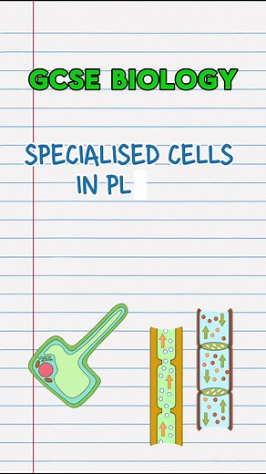 Specialised Cells in Plant Biology Explained in 60 Seconds