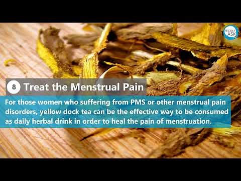 Health benefits of Yellow Dock Root