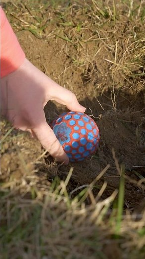 Finding An Alien Toy