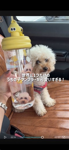 写真だけで作れるオーダーメイドタンブラーの注文方法