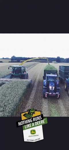 Rye 🌾 #harvest #farming #ukagriculture #farmlife #fyp #foryou #foryourpage #farmer #johndeere #newholland