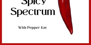 Watch Exclusive Video Episodes on Patreon!