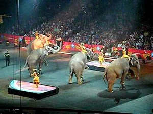 Ringling Bros 2009 Zing Zang Zoom