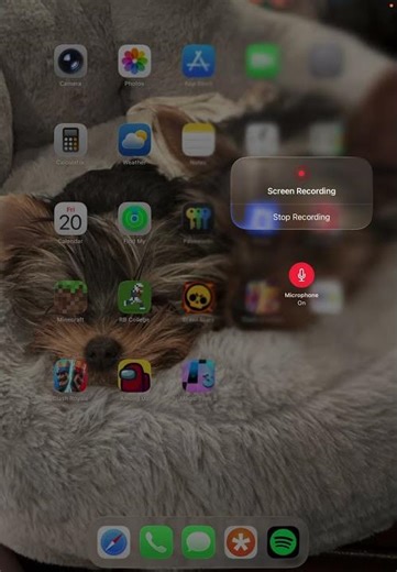 How to turn of and on microphone