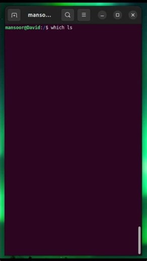 Day 21/100 Of Linux Commands |Which #linuxcommandlinetutorial #codingmusic