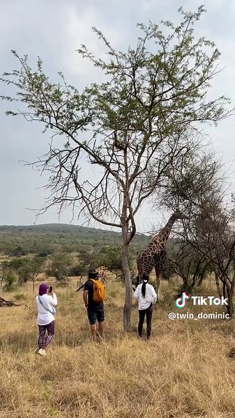 Twin_Dominic on TikTok