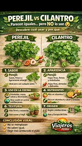 PEREJIL vs CILANTRO ❌ Parecen iguales… pero NO lo son | Viajeros Perú