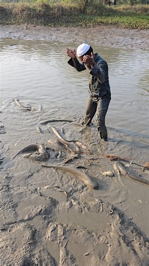 Nasir javaliya | Jyada Machhali Dekhkar Iqbal bhai pagal ho gaye😮🐬🦈 #fish #trending #new #love #viral shorts yt | Instagram