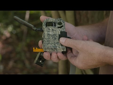 Spypoint Wildkamera LINK MICRO