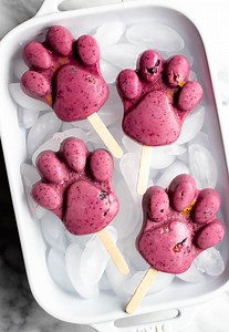 Peanut Butter Swirl Dog Popsicles