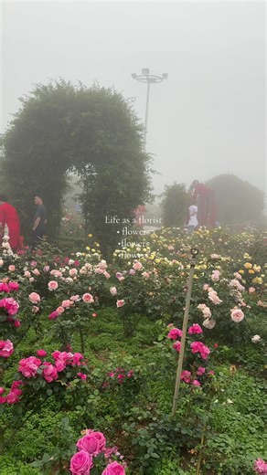 Life as a Florist: Creating Beautiful Bouquets Daily