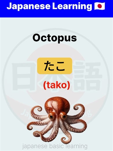 Understanding the Importance of Japanese Language