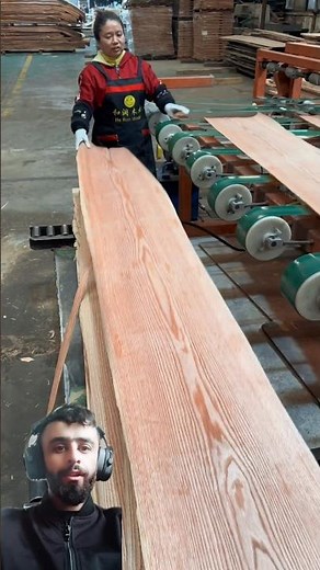 Paper Making Process from Wood in Factory || #wood