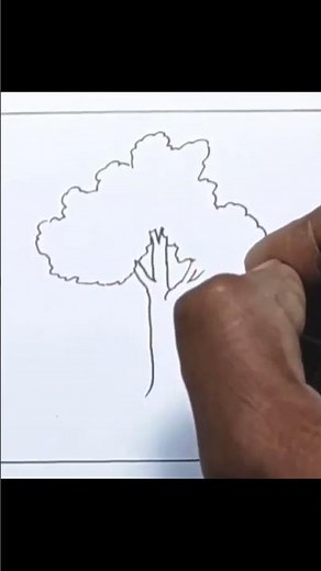 Mango tree drawing