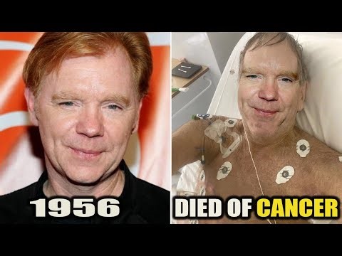 14 CSI Miami Actors Who Tragically Passed Away