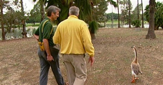 Visiting with Huell Howser | Alondra Park | Season 11