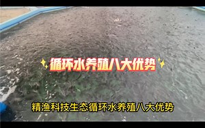 循环水养殖八大优势