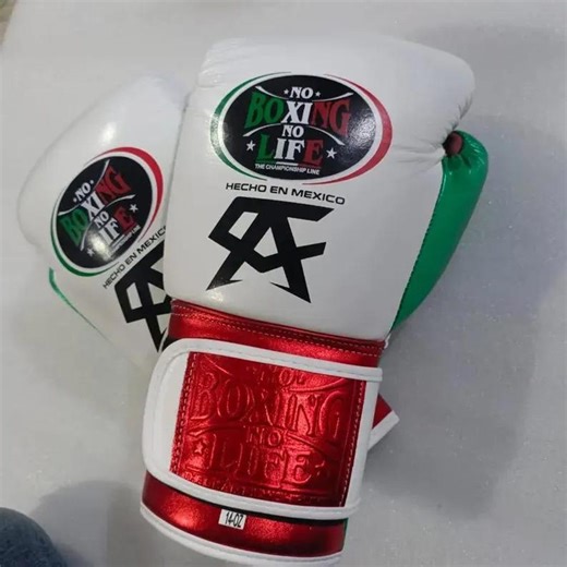 Personalized No Boxing No Life Glove: Training Sparring Gloves - Etsy