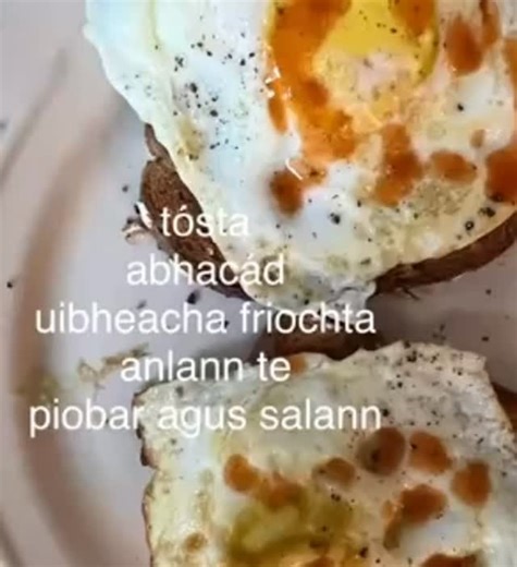 121 reactions · 12 shares | Irish Language Learners on Reels | Facebook