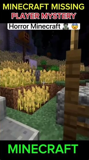 Minecraft Missing Players Mystery😱😱😱#shorts #youtubeshorts #short #minecraft