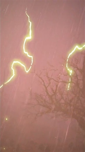 Wildwood Cemetery Thunderstorm | Green Lightning Fallout 4 Ambience #shorts