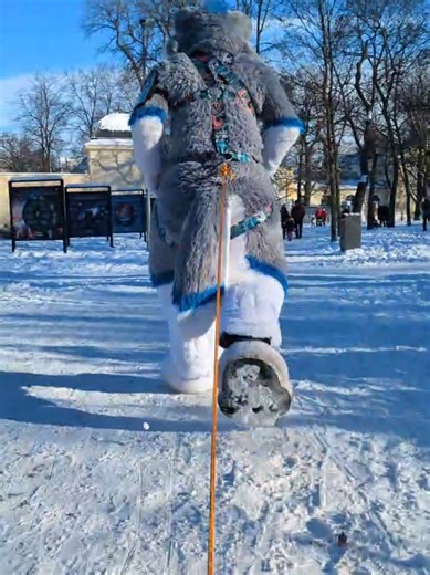 Wolves and Sleds: The Surprising Utility of Wolves