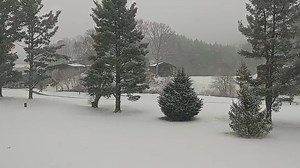 Another weekend, another snow! John Bensinger shared this video from Maggie Valley on Friday evening. How much snow did you get? Share your weather photos and videos with us through Chime In:http://bit.ly/2uOc4dO | WLOS ABC 13
