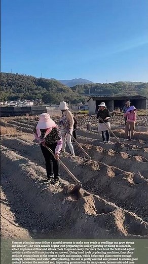 From soil prep to planting: the daily work behind fresh food #farming #farmingtips #agriculture