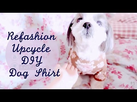 Refashion DIY Dog Shirt / Upcycled Dog Clothes // 古着リメイク 犬服🐶 강아지 옷 만들기ㅣmadebyaya