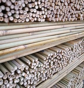 [Hot Item] Raw Construction Cheap Bamboo Poles Canes Stakes Sticks for Orchard Nursery