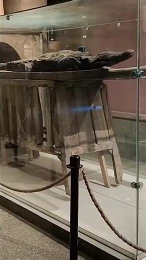 Crocodile Museum Aswan 🇪🇬 | Ancient Nile Crocodiles
