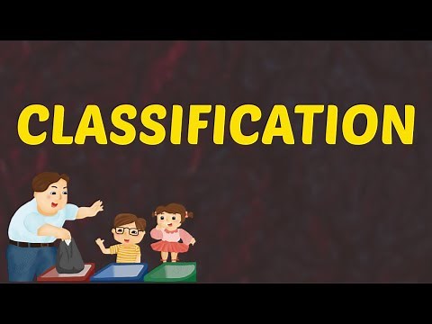 What Does CLASSIFICATION Means || Meanings And Definitions With Example in ENGLISH