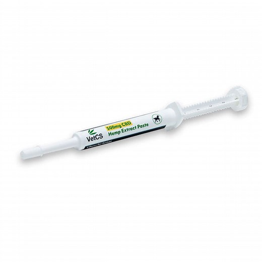 CBD Products For Horses