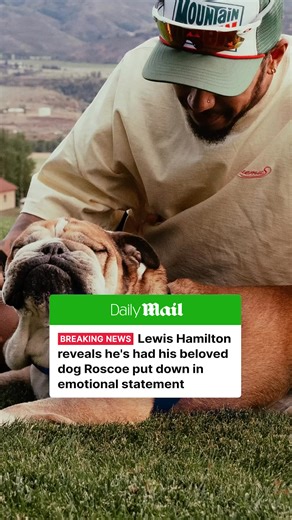 Lewis Hamilton reveals he's had his beloved dog Roscoe put down 💔 | Daily Mail Sport