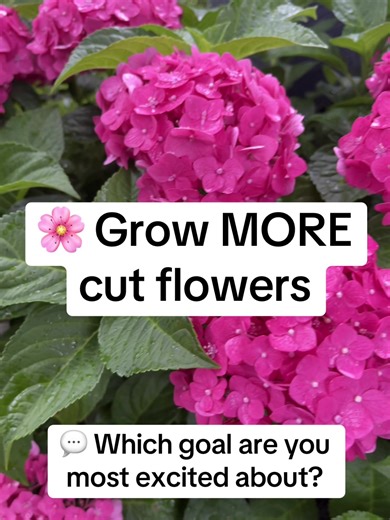 My 2026 garden goals are all about growing with purpose 🌱 More blooms, more pumpkins, more natives for the pollinators—and finally turning my cut flowers into something I can share 💐 This feels scary and exciting and I’m saying it out loud so I actually do it 😅 🌸 🎃 🐝 💐 (comment the emoji!) #GardenGoals2026 #CutFlowerGarden #PumpkinPatch #NativePlants #TikTokCreatorSearchInsightsIncentive