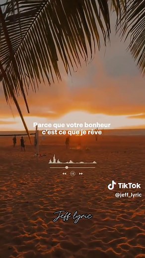 Cœur de Lion paroles : j’ai un cœur de lion chanson