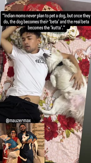 “Indian moms never plan to pet a dog, but once they do, the dog becomes their ‘beta’ and the real beta becomes the ‘kutta’.” #funny #comedy #viral #viral shorts #viralreels #trending #fyp #explore #exploredogs #streetdog #straydogs #puppylove #doglovers #dogs #dog #puppy #animals #dogsofinstagram #instagram #reels #reelinstagram #reelkarofeelkaro #reelitfeelit | Max Mauzer Dev
