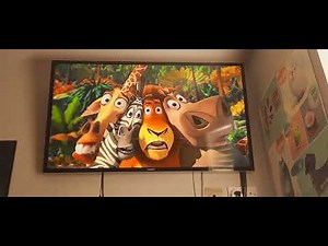 Opening to Bee Movie 2008 UK DVD