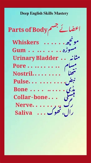 Human Body Parts Names in Urdu and English