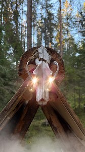 12K views · 2.6K reactions | Small improvements to my forest hut 鸞 Does it seem cozier now? I’ll add reindeer skins to the walls and floor to make it warmer. I’m planning on adding a comfortable chair and a folding table inside. Any other ideas?  . #asbjornbushcraft #logcabin #offgridliving #foresthouse #doğa #survival #wunderlust | Asbjorn Olsen-Berg Bushcraft | Facebook