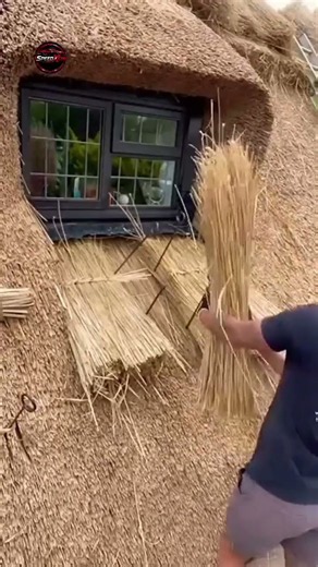 Amazing Britain Grass House