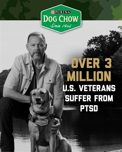 Over three million military veterans struggle with Post-Traumatic Stress Disorder (PTSD). Dog Chow is on a mission to help by connecting veterans with PTSD service dogs. Learn more. | Purina Dog Chow