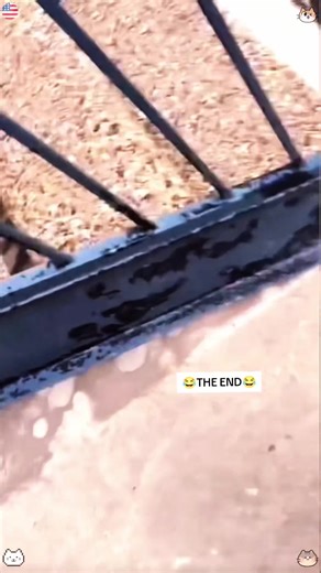 Funny prank #foryou #funny #fyp #prank #usa | explosion pranks