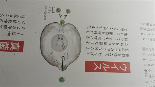 【鳥インフルエンザ詐欺】ＰＣＲ検査だましの仕組み。1000002925