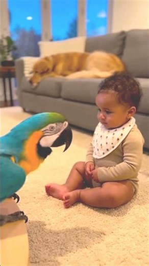 This Talking Parrot Sounds Exactly Like a Dog 🐶🦜 — The Baby’s Confused Reaction Is Priceless 😂